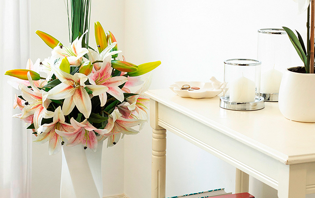 Portfolio Image